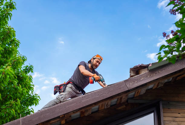Best Green or Eco-Friendly Roofing Solutions  in Redwater, TX